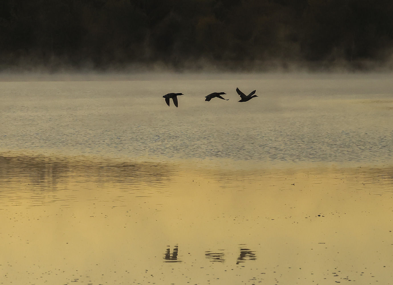Fall around Lake Decatur 47 10.23.20.JPG